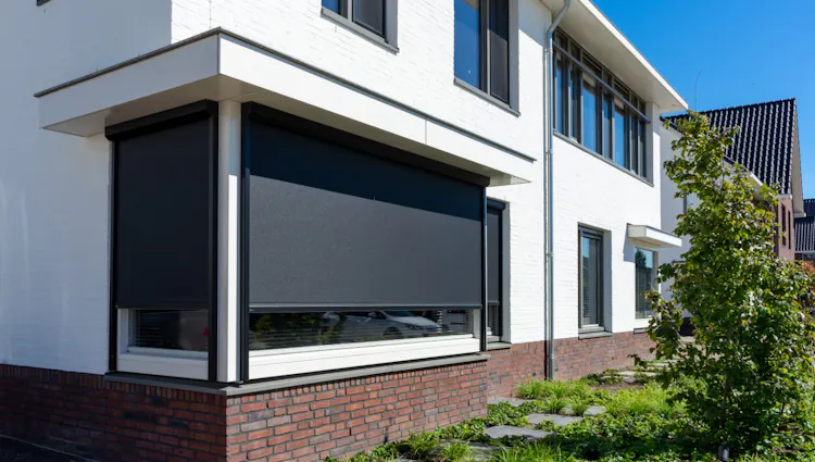 Ritz Screen V550 | Verano